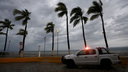 Des palmiers secoués par l'ouragan Lidia, à Puerto Vallarta (Mexique), mardi 10 octobre 2023. (ULISES RUIZ / AFP)