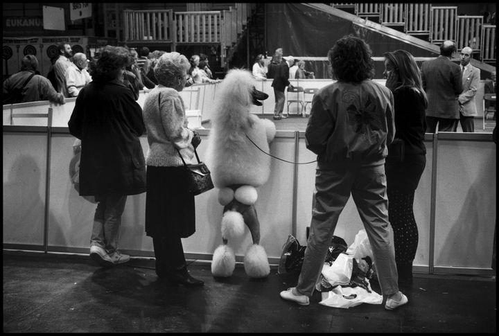 Birmingham, Angleterre, 1991. (ELLIOTT ERWITT / MAGNUM PHOTOS)