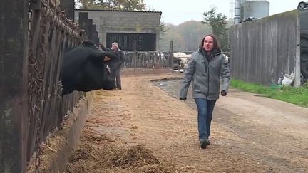 Crise énergétique : comment les agriculteurs se préparent aux coupures ? (France 3)