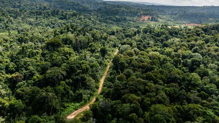 Le site du projet de Montagne d'or, en Guyane, le 12 octobre 2017. (JODY AMIET / AFP)