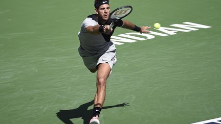 Del Potro dans ses oeuvres (KEVORK DJANSEZIAN / GETTY IMAGES NORTH AMERICA)