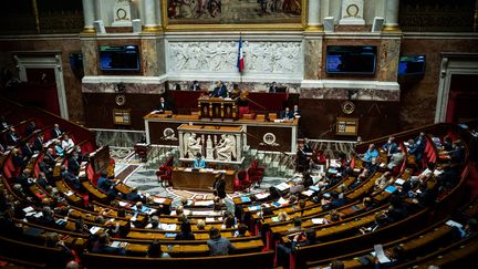 L'Assemblée nationale, lors d'une session de questions au gouvernement, le 22 juin 2021. (XOSE BOUZAS / HANS LUCAS / AFP)