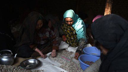 Des travailleurs afghans dans une usine de fruits sec à Kaboul le 31 décembre 2014. (WAKIL KOHSAR / AFP)