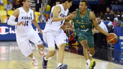 Dante Exum ne portera pas le maillot de la sélection cet été (GERARD JULIEN / AFP)