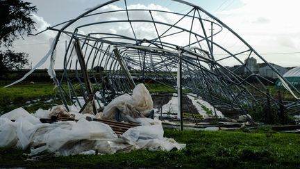 Les tempêtes Ciaran et Domingos ont détruit 100% des équipements de production de la ferme de Sabine Maguet, le 9 novembre 2023, à Plouguiel (Côtes-d'Armor). (ALEXANDRE BRE / HANS LUCAS / AFP)