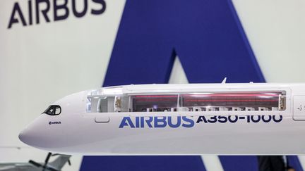 Au stand d'Airbus au salon aéronautique de Dubaï, aux Emirats arabes unis, le 14 novembre 2021. (GIUSEPPE CACACE / AFP)