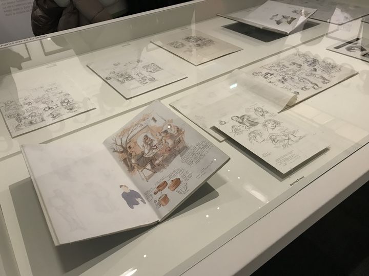 Vitrine présentant les dessins préparatoires de Posy Simmonds pour les romans graphiques "Gemma  Bovery" (1999) "Tamara Drewe" (2007) et "Cassandra Darke" (2018). (LAURENCE HOUOT / FRANCEINFO CULTURE)