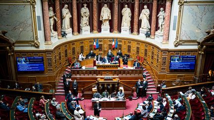 Les sénateurs à Paris, le 21 juillet 2021. (XOSE BOUZAS / HANS LUCAS / AFP)