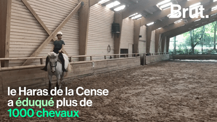 VIDEO. L’équitation éthologique, "une façon plus douce et plus juste de travailler le cheval" (BRUT)