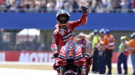 L'Italien Francesco Bagnaia (Ducati) célèbre sa victoire aux Grand Prix des Pays-Bas de MotoGP, à Assen, le 25 juin 2023 (JOHN THYS / AFP)