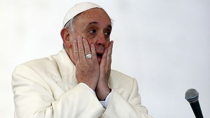 Le pape Fran&ccedil;ois lors de l'audience g&eacute;n&eacute;rale place Saint-Pierre au Vatican, le 15 janvier 2014. (ALESSANDRO BIANCHI / REUTERS)