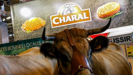 Salon de l'agriculture : des éleveurs bovins aspergent de farine le stand de Charal