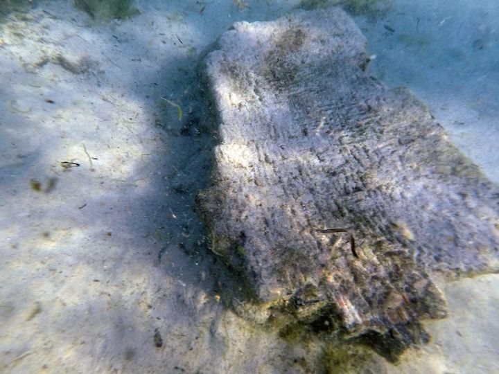 Les équipes d'archéologues ont mis au jour des rues, des monuments et une centaine de cuves servant à la production d'un condiment très prisé par les Romains, le garum.
 (HANDOUT / L’INSTITUT NATIONAL DU PATRIMOINE TUNISIEN (INP) / UNIVERSITY OF SASSARI / AFP)