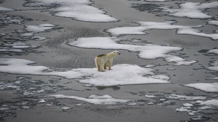 VIDEO. Comment la fonte de la banquise de l'Arctique affecte les vents et perturbe le climat