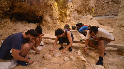 Des fouilles archéologiques sur le site de Capellades (Espagne), le 25 août 2022.&nbsp; (MARIA D. GUILLEN / INSTITUT CATALA DE PALEOECOLOGIA / AFP)