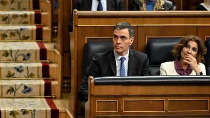 Le Premier ministre, Pedro Sanchez, à la Chambre des députés, le 30 janvier 2024. (JAVIER SORIANO / AFP)