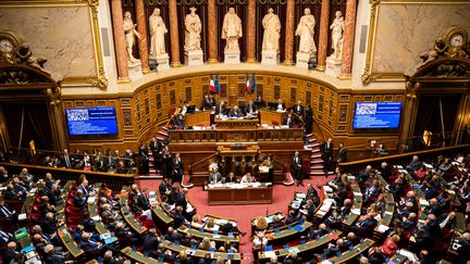 L'hémicycle du Sénat, le 16 octobre 2019, à Paris. (XOSE BOUZAS / HANS LUCAS / AFP)