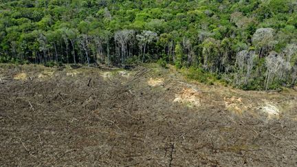 Vue aérienne d'une partie de l'Amazonie déforestée au Brésil en août 2020.&nbsp; (Florian PLAUCHEUR / AFP)