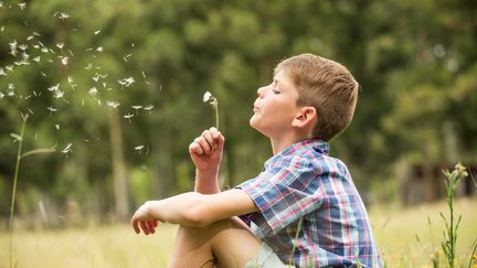 Un enfant souffle sur une fleur de pissenlit. (ERIC AUDRAS / ALTOPRESS / AFP)