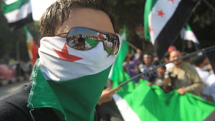 Des manifestants protestent au Caire contre le r&eacute;gime de Bachar Al-Assad, le 12 novembre 2011. (KHALED DESOUKI / AFP PHOTO)