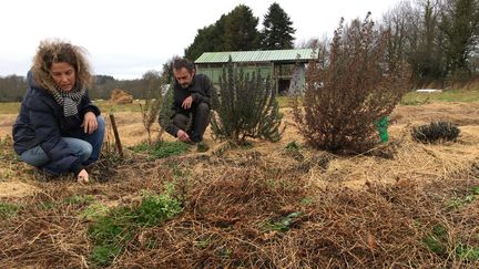 Virginie Philippe et Xavier Richard sur leur exploitation agricole, le 28 mars 2018, dans la ZAD de Notre-Dame-des-Landes (Loire-Atlantique). (RAPHAEL GODET / FRANCEINFO)