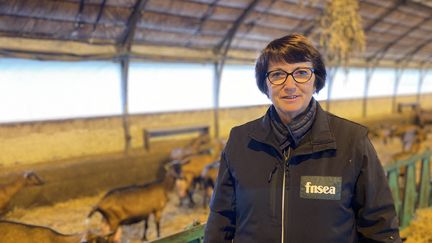 Christiane Lambert, présidente de la FNSEA en visite dans une exploitation, le 23 novembre 2021. (NOÉMIE GUILLOTIN / RADIO FRANCE)