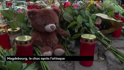 Samedi 21 décembre, au lendemain de l'attaque à la voiture-bélier au sein de son marché de Noël, la ville allemande de Magdebourg est en état de choc. En trois minutes, plusieurs vies ont basculé dans la terreur alors que ses habitants étaient venus profiter des fêtes de fin d'année. (franceinfo)