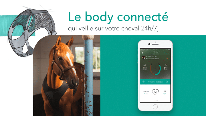 Image de présentation du body connecté Equisense.&nbsp; (EQUISENSE)