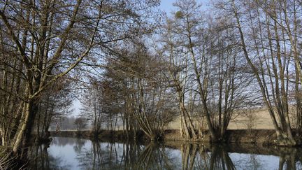  (Le projet de complexe touristique sera situé en Seine-et-Marne, à six kilomètres de Disneyland Paris © Maxppp)