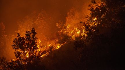 Un incendie sur l'Etna se propageant sur tout le versant sud du volcan alors que des incendies de forêt frappent la Sicile, à Catane, en Italie, le 26 juillet 2023. (SALVATORE ALLEGRA / ANADOLU AGENCY)