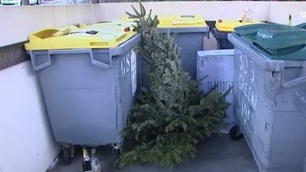 Comment se débarrasser proprement du sapin de Noël ?