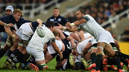 Fourie du Preez à la baguette (PAUL ELLIS / AFP)