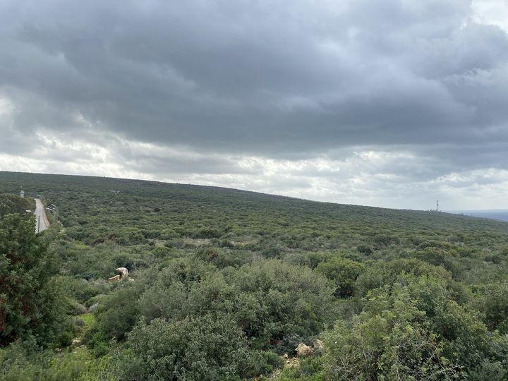 La frontière israélienne vue depuis la base de la Force intérimaire des Nations unies au Liban (Finul), à Naqoura, le 13 janvier 2024. (RAPHAEL GODET / FRANCEINFO)