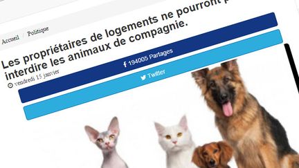 &nbsp; (Un faux article partagé plusieurs milliers de fois sur Facebook © Capture d'écran actualites.co)