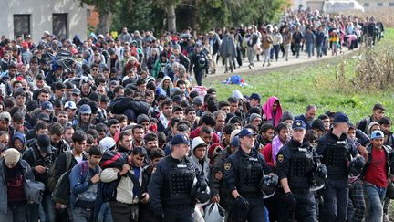 Des r&eacute;fugi&eacute;s escort&eacute;s par la police marchent &agrave; Brezice, en Slov&eacute;nie, le 20 octobre 2015. (? SRDJAN ZIVULOVIC / REUTERS )