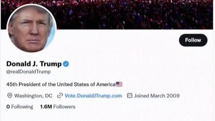 Réseaux sociaux : Elon Musk rétablit le compte Twitter de Donald Trump