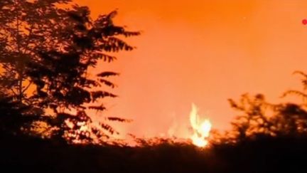 Incendies : 1 400 hectares brûlés en Gironde