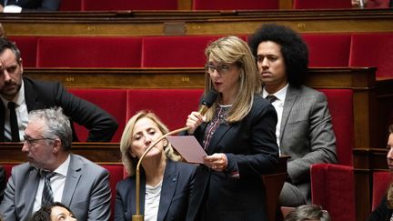 Patricia Mirallès, députée de l'Hérault, le 12 novembre 2019 à l'Assemblée nationale. (CHRISTOPHE MORIN / MAXPPP)