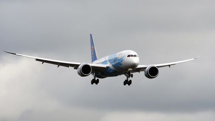 Un Boeing 787 "Dreamliner" sans passagers se pr&eacute;pare &agrave; atterrir le 7 f&eacute;vrier 2013 &agrave; Everett, dans l'Etat de Washington (Etats-Unis).&nbsp; (KEVIN CASEY / REUTERS)