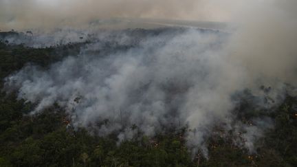 Un incendie en Amazonie, au Brésil, le 15 septembre 2021. (MAURO PIMENTEL / AFP)