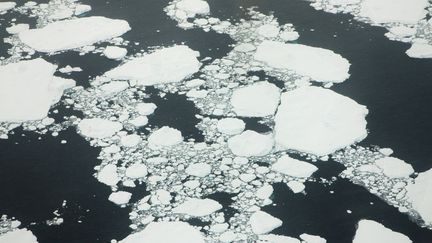 De la glace au Groenland (illustration). (M. LOHMANN / BLICKWINKEL)