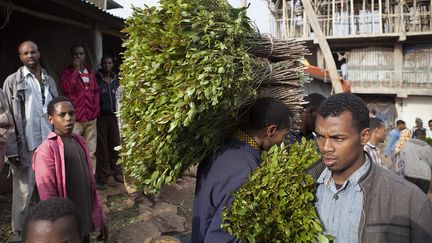 Livraison de khat dans un marché&nbsp;à Awaday, en Ethiopie (2014). Originaire de ce pays, la plante a été introduite au début du XXe siècle au nord de&nbsp;Madagascar. (ZACHARIAS ABUBEKER / AFP)