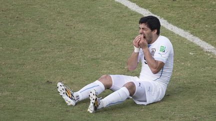 Luis Suarez se tient les dents apr&egrave;s avoir mordu l'&eacute;paule de Giorgio Chiellini, mardi 24 juin lors du match Uruguay-Italie, &agrave; l'Arena Das Dunas de Natal (Br&eacute;sil). (OMAR MARTINEZ / MEXSPORT / AFP)