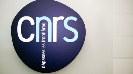 Le logo du&nbsp;Centre national de la recherche scientifique (CNRS)&nbsp;à Paris, le 7 décembre 2012. (LIONEL BONAVENTURE / AFP)