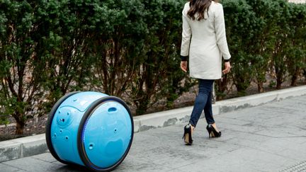 Le robot Gita&nbsp;cale son allure sur le pas de son propriétaire (Piaggio)