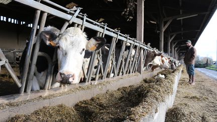 Crise agricole : la population française soutient massivement les agriculteurs