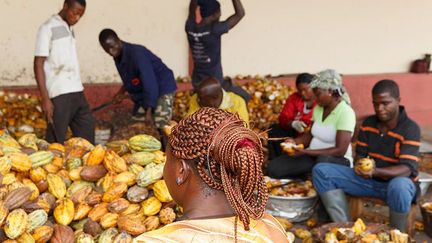 est un photographe britannique, membre de l’agence Magnum Photos depuis 1994. Pour l'Expo Milan 2015, Martin Parr a travaillé sur le thème Cacao et Chocolat. «Utilisé comme aliment, boisson et monnaie, le cacao est devenu un symbole d’énergie, de fertilité et de vie. A l’origine du chocolat que nous grignotons en tablette ou savourons chaud, il y a des fruits de petites dimensions : les fèves du cacaoyer. C’est la principale source de revenus de plus de trente pays en voie de développement.»
 
 
 (Martin Parr/La Gacilly)