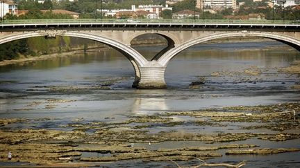 Le lit de la Garonne à Toulouse pendant la sécheresse de juillet 2006. (AFP - LIONEL BONAVENTURE)