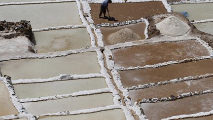 Un employ&eacute; r&eacute;colte le sel dans les salines de Maras (P&eacute;rou), le 29 ao&ucirc;t 2012. (REUTERS)