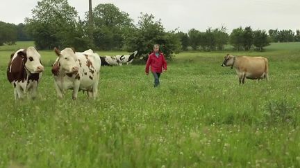 Aides : la colère des agriculteurs bio